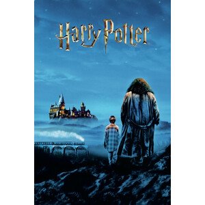 Umělecký tisk Harry Potter - Hogwarts view, 26.7 × 40 cm