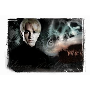 Umělecký tisk Harry Potter - Draco Malfoy, 40 × 26.7 cm