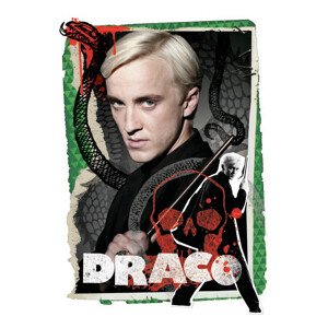 Umělecký tisk Harry Potter - Draco Malfoy, 26.7 × 40 cm