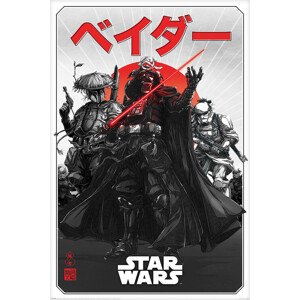 Plakát, Obraz - Star Wars: Visions - Da-ku Saido, 61 × 91.5 cm
