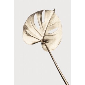 Ilustrace Monstera Gold 05, Studio Collection, 26.7 × 40 cm