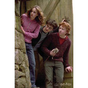 Umělecký tisk Harry Potter - Famous trio, 26.7 × 40 cm