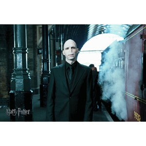 Umělecký tisk Voldemort, 40 × 26.7 cm