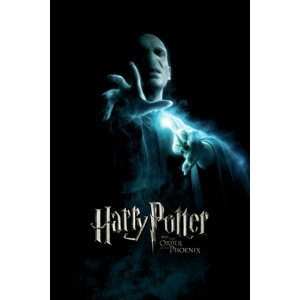 Umělecký tisk Voldemort, 26.7 × 40 cm