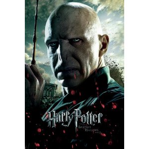 Umělecký tisk Voldemort, 26.7 × 40 cm