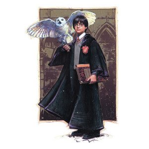 Umělecký tisk Harry Potter with Hedvig - Art, 26.7 × 40 cm
