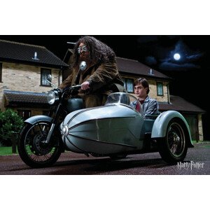 Umělecký tisk Hagrid's Motorbike, 40 × 26.7 cm