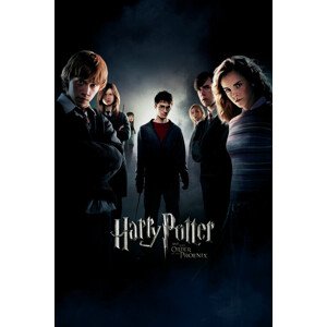 Umělecký tisk Harry Potter - Fenixův řád, 26.7 × 40 cm