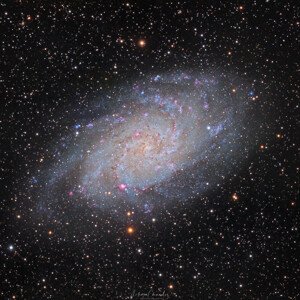 Fotografie Triangulum Galaxy, vikas chander, 40 × 40 cm