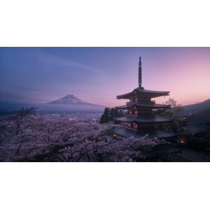Fotografie Mt Fuji Sakura, Javier de la, 40 × 22.2 cm