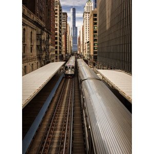 Fotografie Center of Attention, Jon Kinney, 30 × 40 cm
