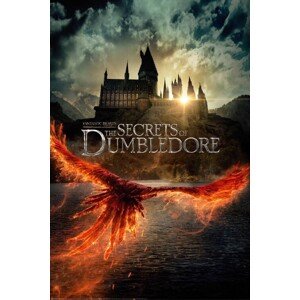 Plakát, Obraz - Fantastic Beasts - The Secrets of Dumbledore, 61 × 91.5 cm