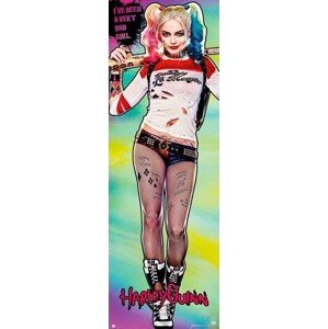 Plakát, Obraz - Sebevražedný oddíl - Harley Quinn, 53 × 158 cm
