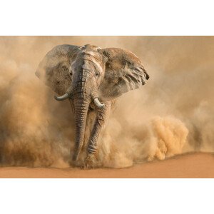 Fotografie Desertstorm, Marcel Egger, 40 × 26.7 cm