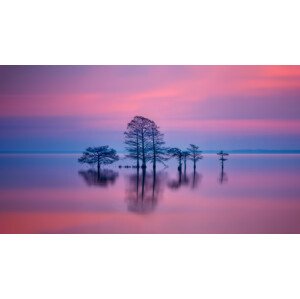 Fotografie Morning Color, Jianping Yang, 40 × 22.2 cm