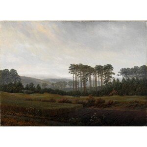 Obrazová reprodukce The times of day: The afternoon, Friedrich, Caspar David, 40 × 30 cm