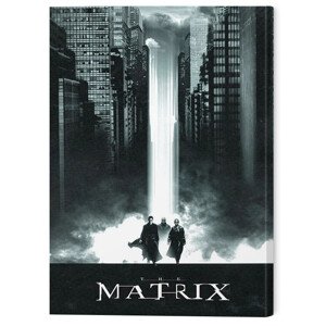 Obraz na plátně The Matrix - Lightfall, 2 - 60×80 cm