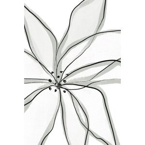 Ilustrace Fragile Flower, uplusmestudio, 26.7 × 40 cm