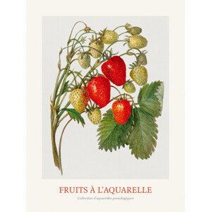 Obrazová reprodukce Strawberries (Watercolour Kitchen Fruit), 30 × 40 cm