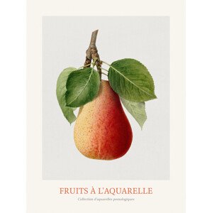 Obrazová reprodukce Pear (Watercolour Kitchen Fruit), 30 × 40 cm