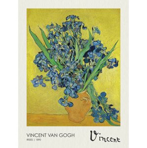 Obrazová reprodukce Irises (1890), Vincent van Gogh, 30 × 40 cm