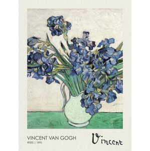 Obrazová reprodukce Irises (1890), Vincent van Gogh, 30 × 40 cm