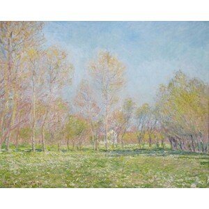 Obrazová reprodukce Spring in Giverny (1890), Claude Monet, 40 × 30 cm
