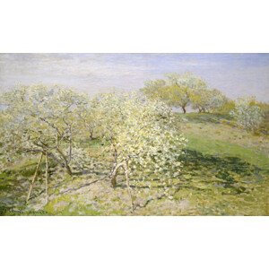 Obrazová reprodukce Spring – Fruit Trees in Bloom (1873), Claude Monet, 40 × 24.3 cm