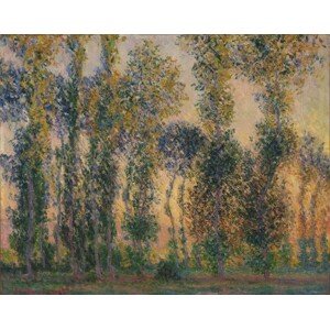 Obrazová reprodukce Poplars at Giverny, Sunrise (1888), Claude Monet, 40 × 30 cm