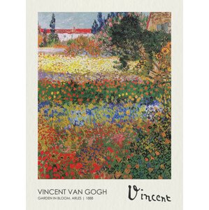 Obrazová reprodukce Garden in Bloom, Arles (1888), Vincent van Gogh, 30 × 40 cm