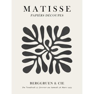 Ilustrace Matisse floral 1, Vitor Costa, 30 × 40 cm