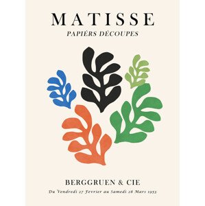Ilustrace Matisse floral 7, Vitor Costa, 30 × 40 cm