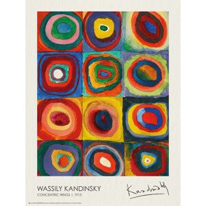 Plakát, Obraz - Concentric Rings (1913), Wassily Kandinsky, 45 × 60 cm