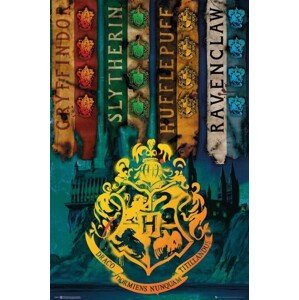 Plakát, Obraz - Harry Potter - House Flags, 61 × 91.5 cm