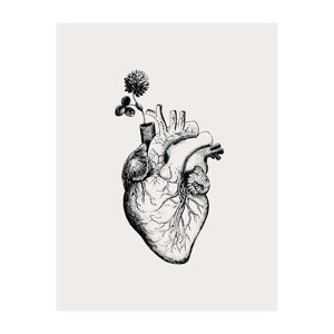 Ilustrace Heart Bloom, KsanaKalpa, 30 × 40 cm