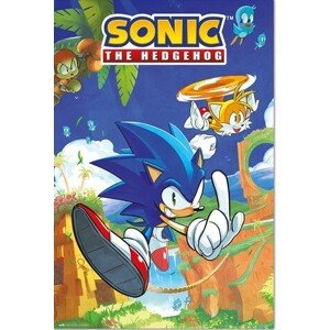 Plakát, Obraz - Sonic the Hedgegog - Sonic & Tails, 61 × 91.5 cm