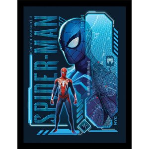 Obraz na zeď - Spider-Man - Peter Parker, 34.3 x 44.5 cm