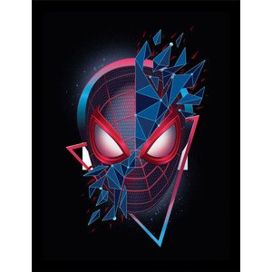 Obraz na zeď - Spider-Man - Red & Blue Geometric, 34.3 x 44.5 cm