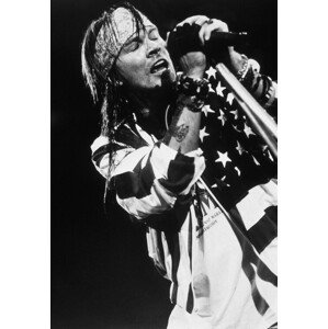 Fotografie ARCHIVES : ROCK 'N' ROLL HEROES, Sunset Boulevard, 26.7 × 40 cm
