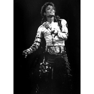 Fotografie Views of Michael Jackson concert during, New York Daily News Archive, 30 × 40 cm