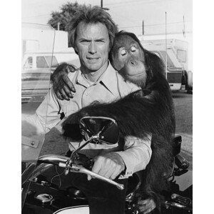 Fotografie Clint Eastwood And Clyde., Every Which Way, 30 × 40 cm