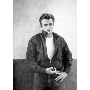 Fotografie Rebel without a cause, 26.7 × 40 cm