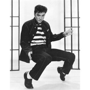 Fotografie Elvis Presley, 30 × 40 cm