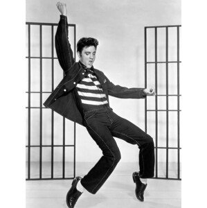 Fotografie Elvis Presley, 30 × 40 cm
